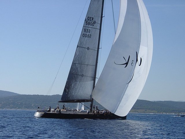 wallys - 2.jpg